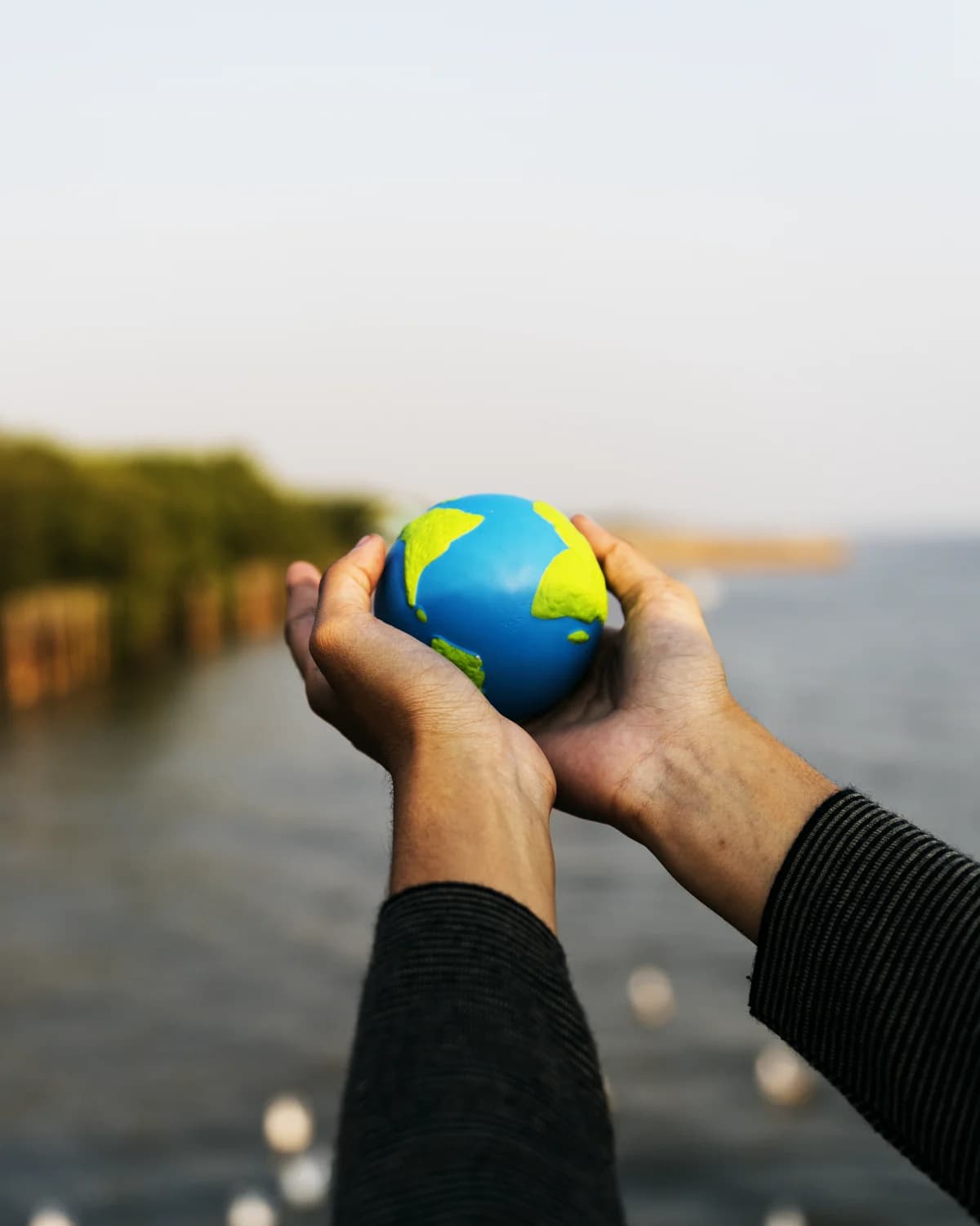 Duas mãos segurando um pequeno globo terrestre diante de um manguezal e da água